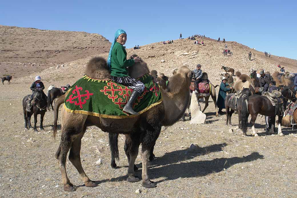 Camel rider